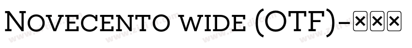 Novecento wide (OTF)字体转换